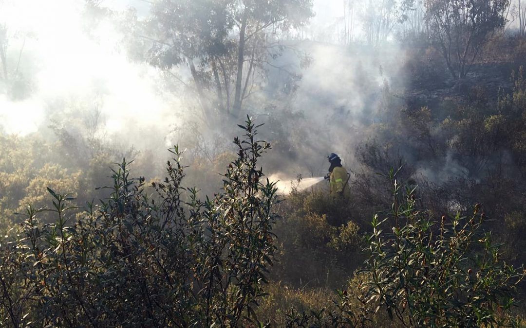 El incendio en el paraje calañés de La Torerera se originó por un coche en llamas