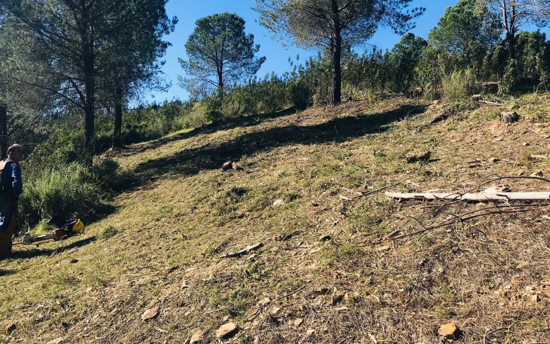 La Junta de Andalucía firma el convenio para la limpieza de los montes de Valverde