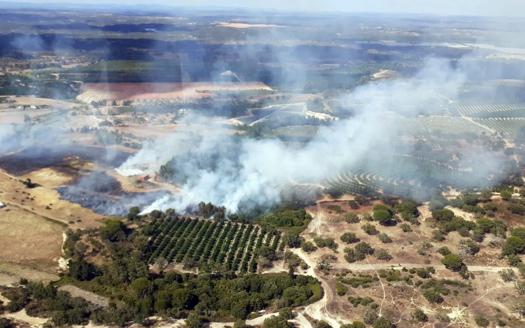 El fuego en El Torbisco de San Bartolomé arrasa 12,5 hectáreas forestales y agrícolas