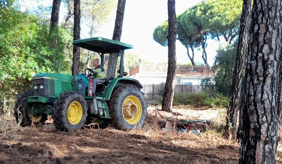 La Junta de Andalucía inicia los trabajos contra incendios en Los Pinos