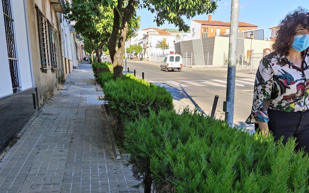 Los setos de la Carretera de Calañas serán eliminados para favorecer la accesibilidad