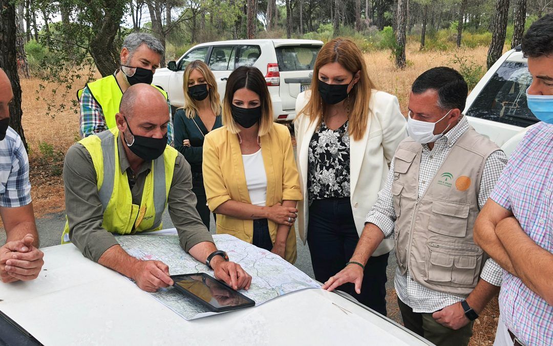Los trabajos preventivos en Carabales y Los Pinos de Valverde concluyen esta semana