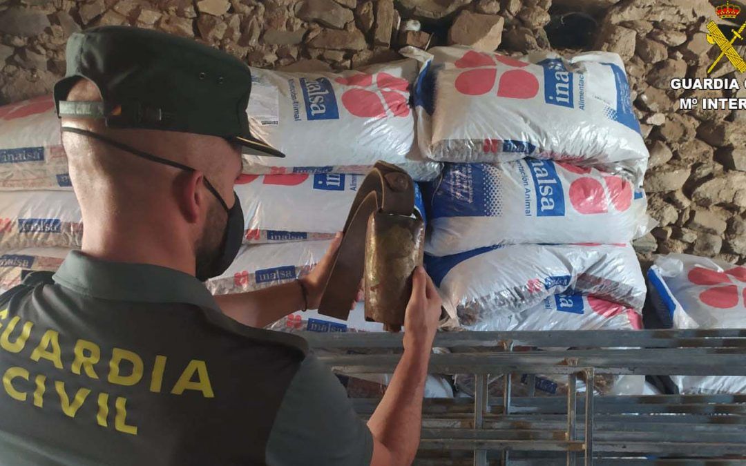 La Guardia Civil detiene a cinco personas tras hallar en Nerva material robado