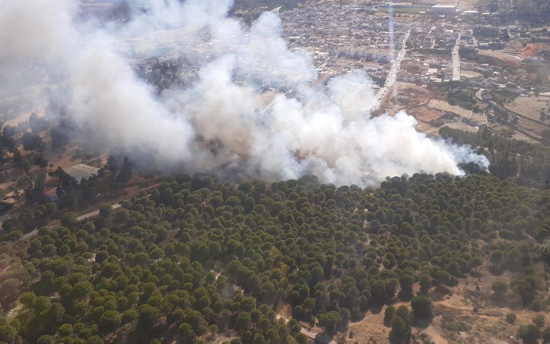 La rápida actuación del Infoca evita un desastroso incendio en El Campillo