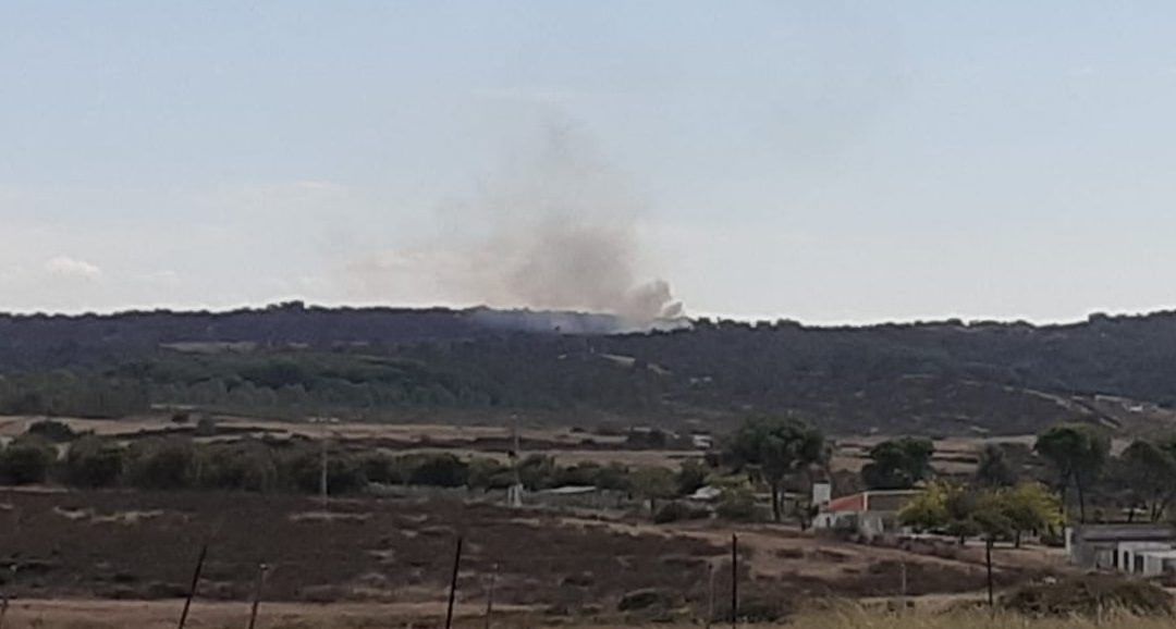 Infoca extingue a tiempo un fuego declarado en Valverde del Camino