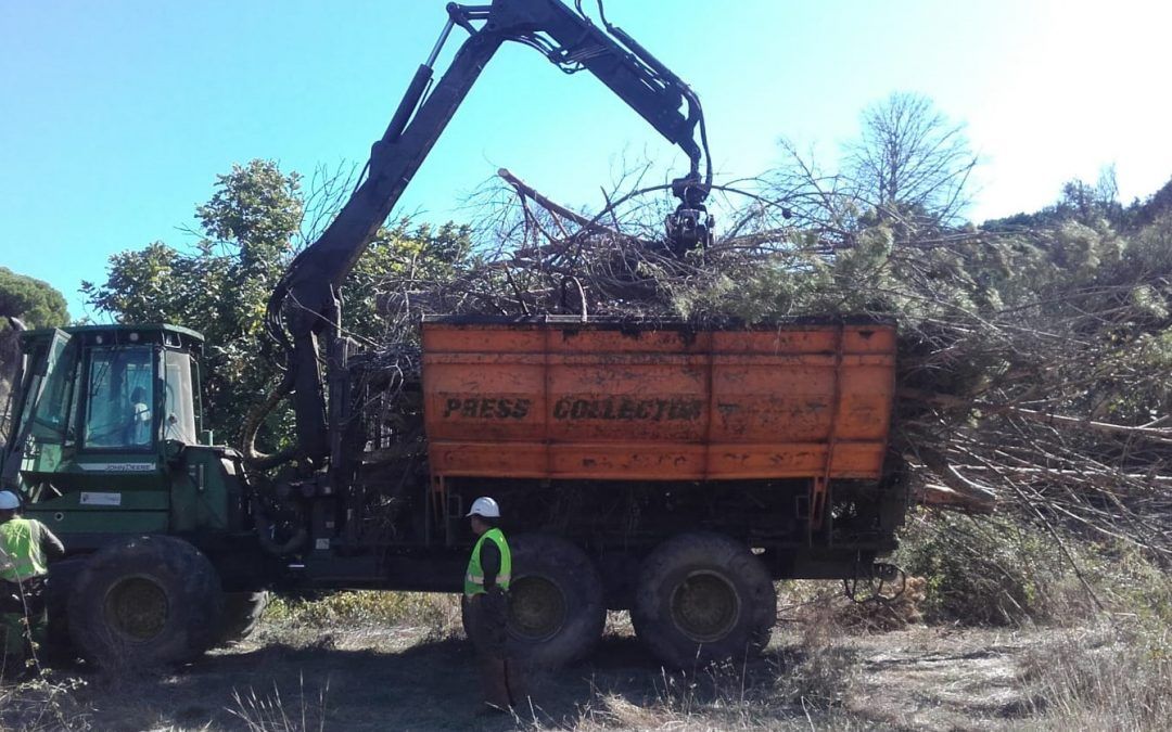 Nerva retira más de 120 toneladas de residuos en el arroyo de Santa María