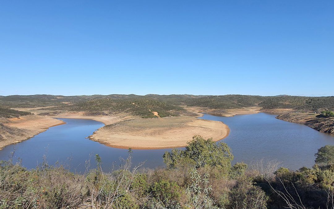 Llamada al consumo responsable: «La situación del agua en Valverde es grave»