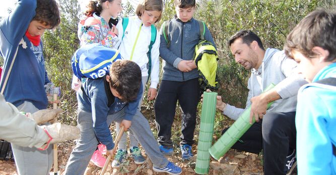 plantacionvalverde