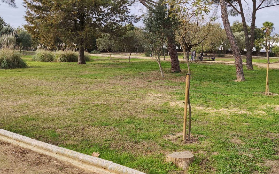 Valverde invierte 90.000 euros en mejorar zonas verdes y renovar juegos infantiles