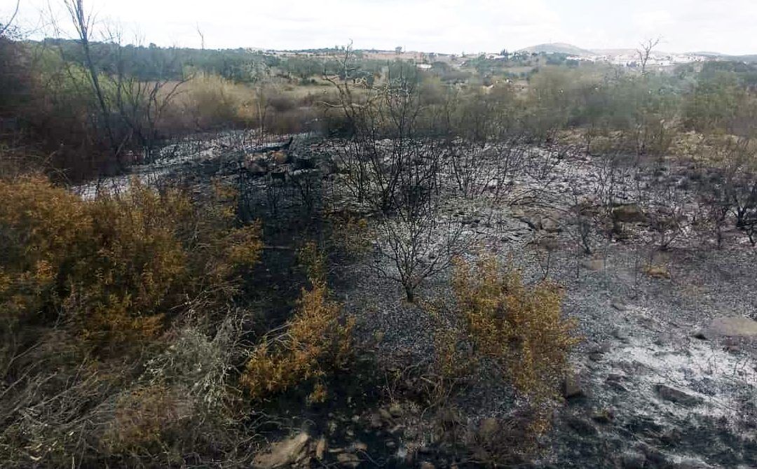 Incendio de matorral y pastos junto al canal de El Granado
