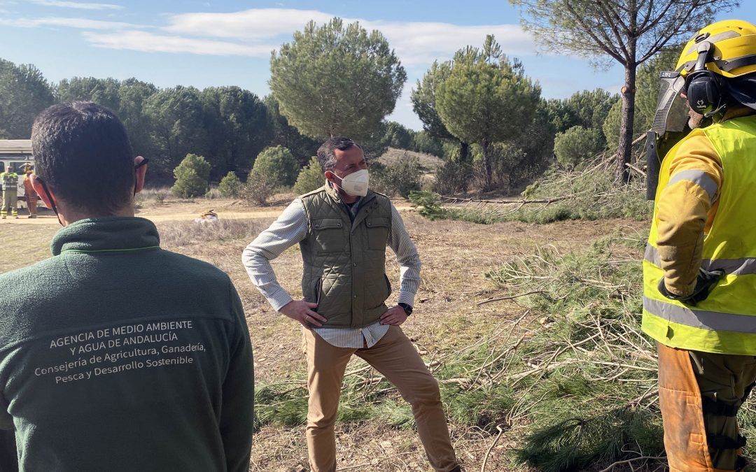 Infoca realiza tareas preventivas en 53 hectáreas de Valverde y 19 de Cabezas Rubias