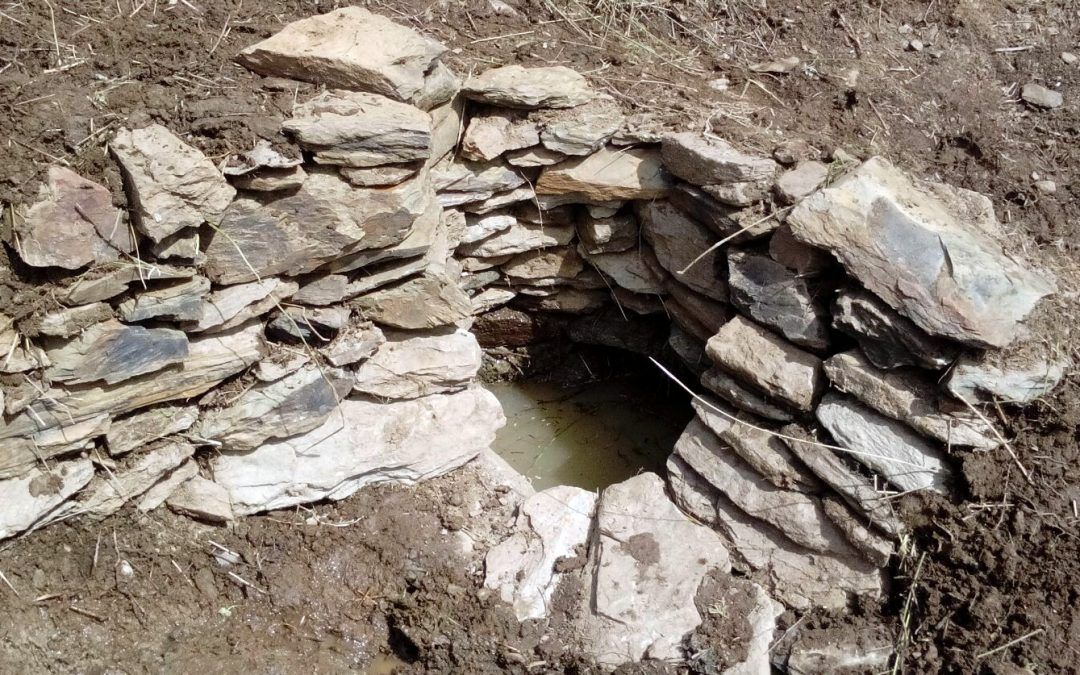 La solidaridad ecológica: el valor de recuperar fuentes