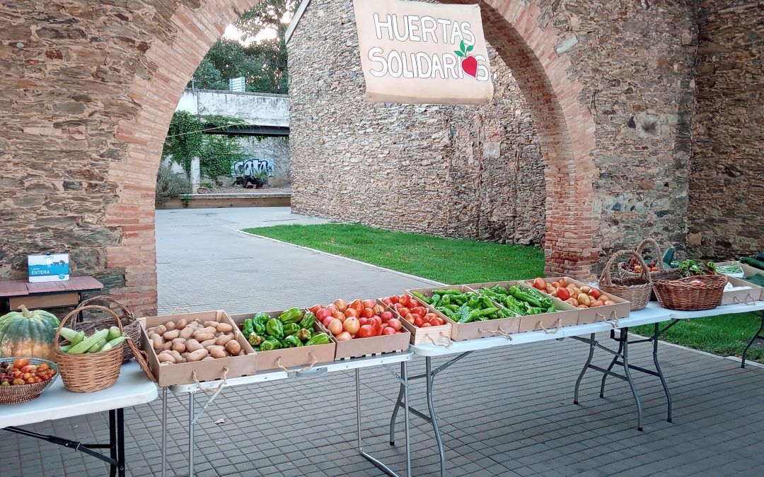 Las huertas solidarias regresan a la Plaza del Buitrón para otra jornada de trueques