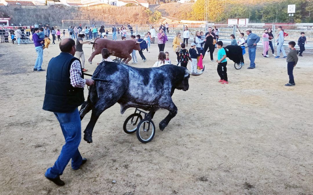 Calañas recupera sus festejos taurinos de la mano de la Asociación El Toreo