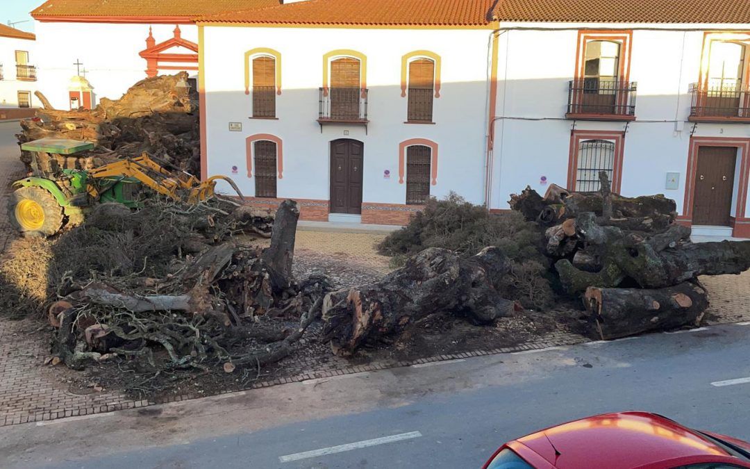 Todo listo en Villanueva de las Cruces para el comienzo de sus fiestas patronales