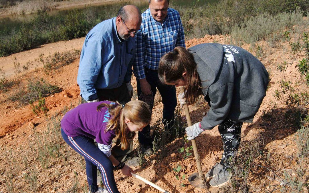 La cuarta plantación popular en la Dehesa de los Machos de Valverde será este sábado
