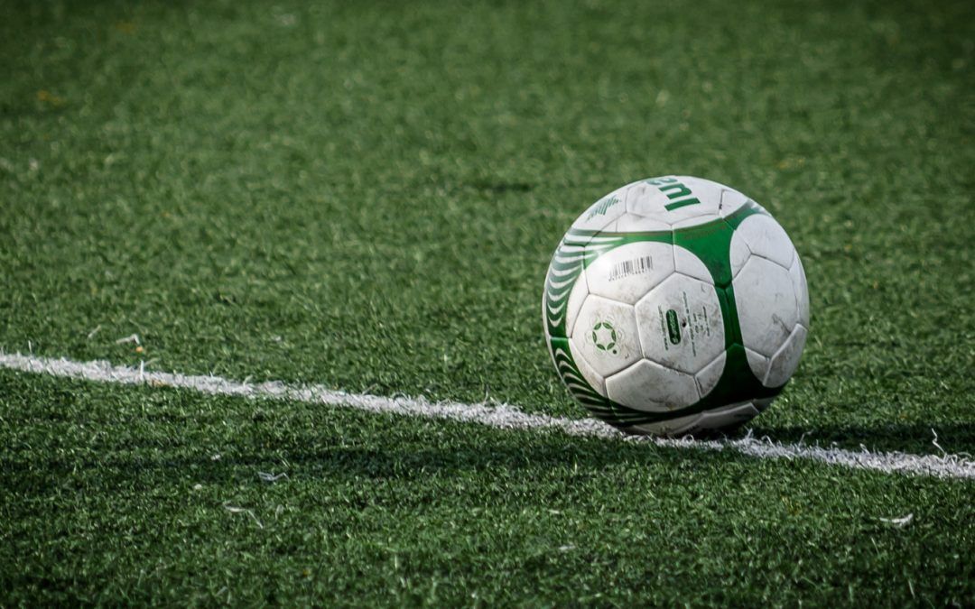 El Pleno acuerda la sustitución del césped artificial del Estadio Nuevo Alkali