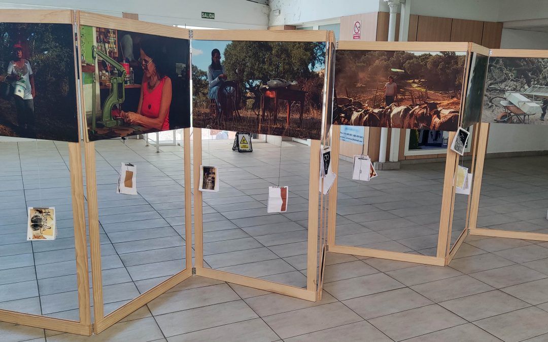 ’15 rostros; 15 historias’ de mujeres rurales para conocer en el Mercado de Abastos de Valverde
