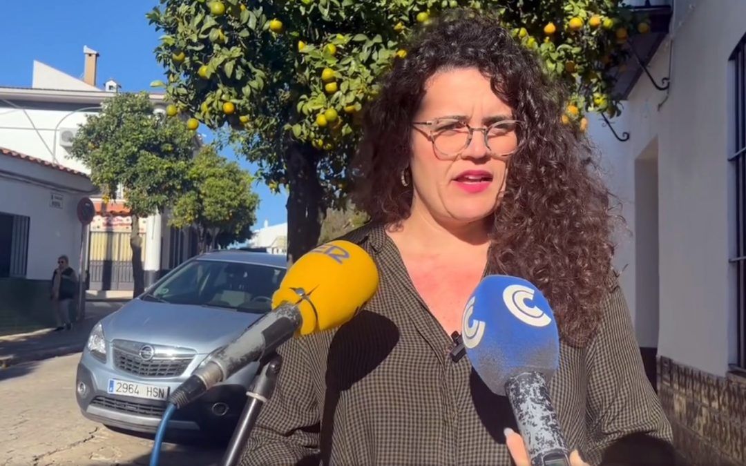 La campaña de recogida de naranjas se iniciará en Valverde tras el puente de diciembre