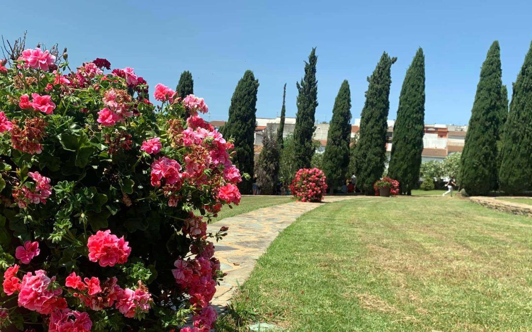 ‘Comparte Valverde’, la nueva estrategia de Turismo vista desde los ojos del valverdeño