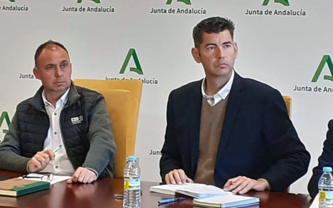El PP agradece la inclusión de Valverde en el nuevo Plan de Transportes de Huelva