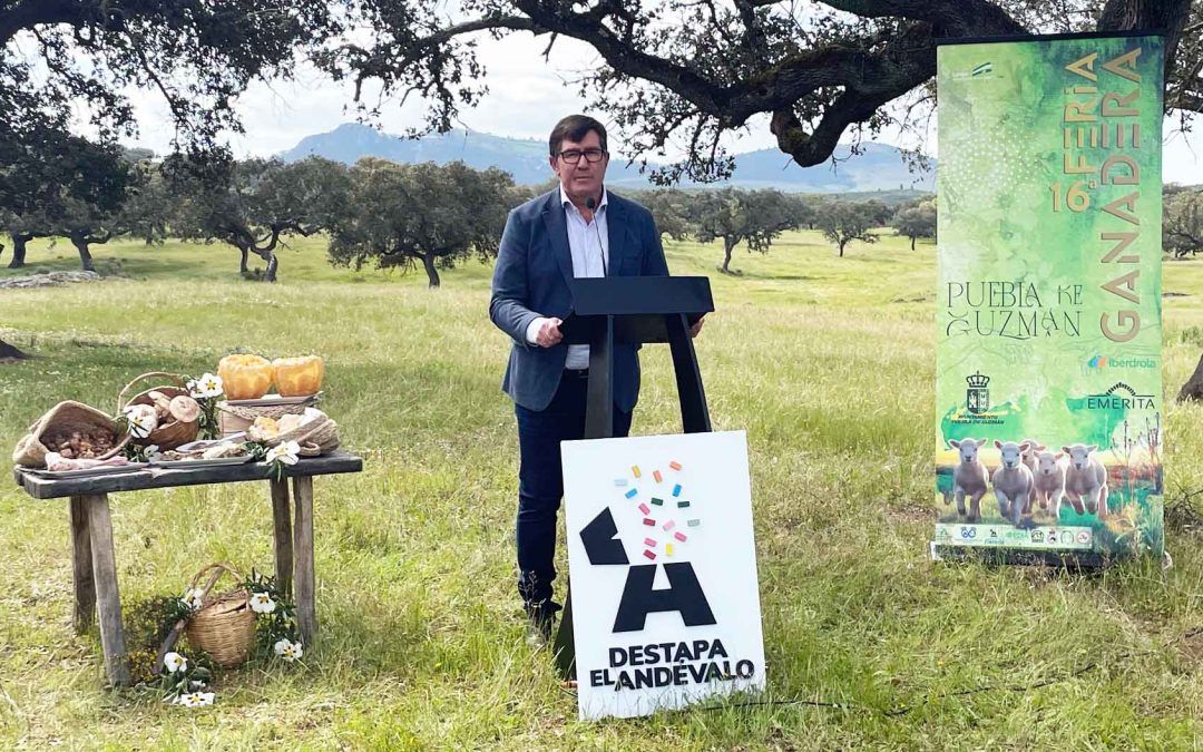 Puebla de Guzmán celebra esta semana la feria ganadera más importante de la provincia