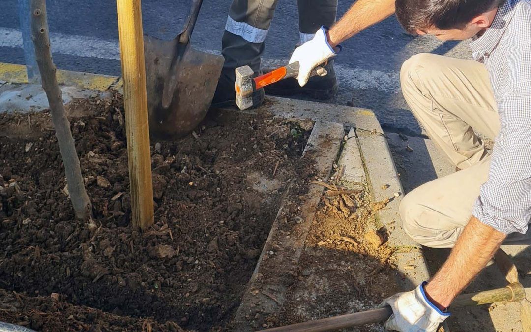 Los 866 parados de marzo es el mejor dato histórico de desempleo en Valverde