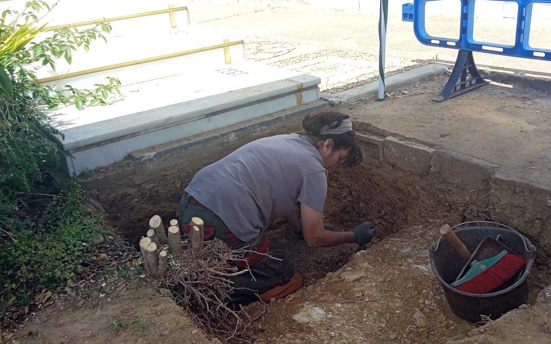 Comienza la búsqueda de las fosas comunes en el cementerio valverdeño