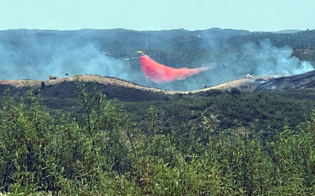 Trabajos de desbroce, detrás del fuego que se originó ayer en Valverde