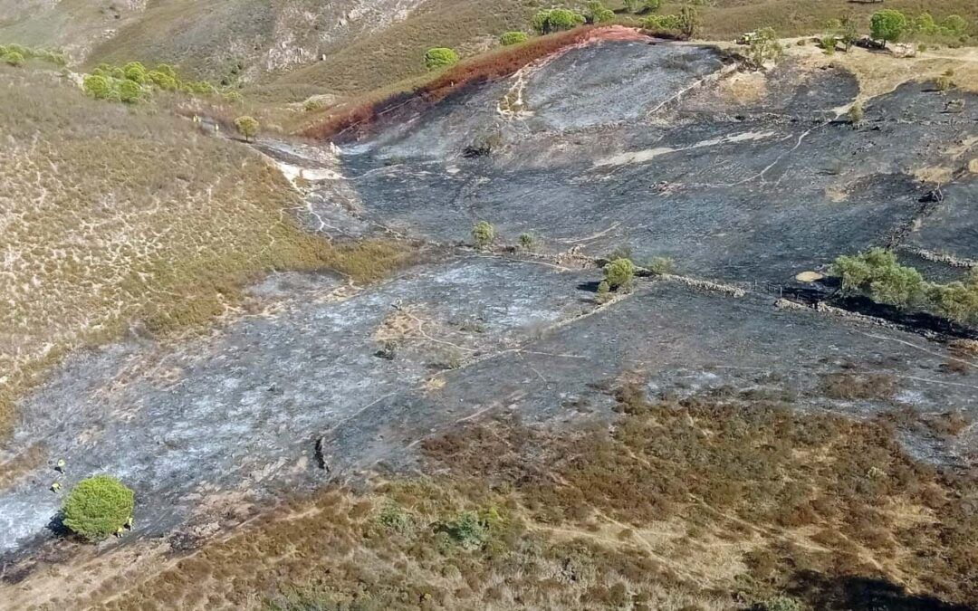 El fuego del sábado en El Campillo arrasó una hectárea y media de matorral